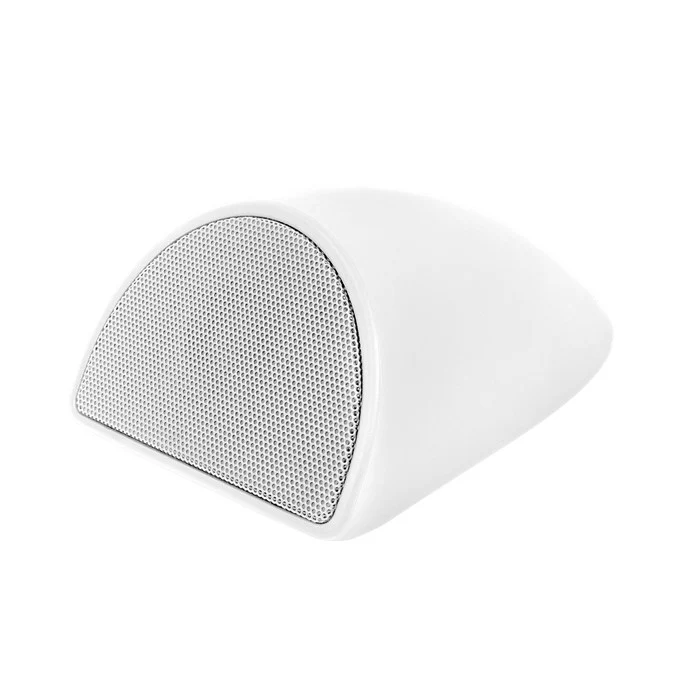 Coastal Source Contour 2-Way Speaker - Image 2