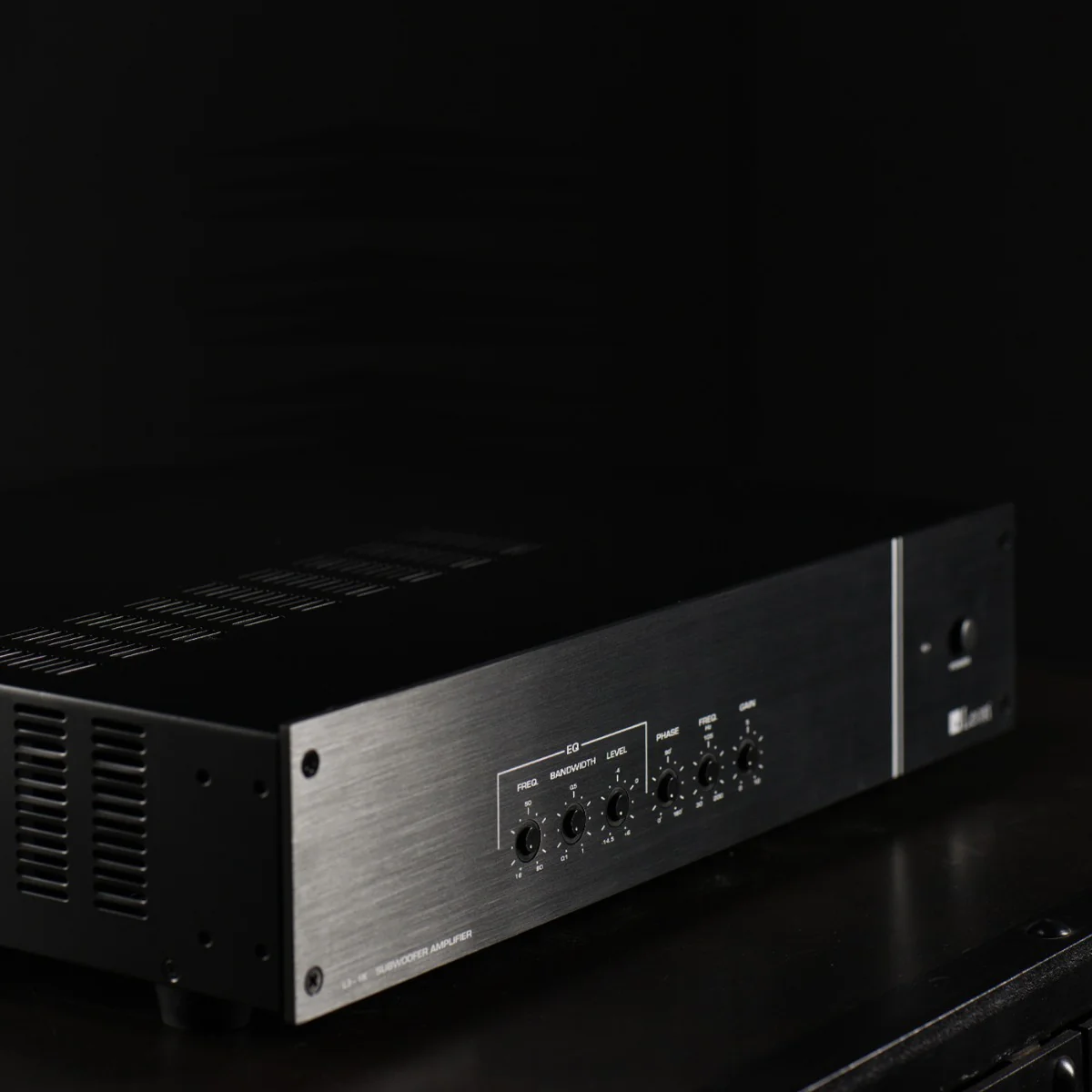 Leon L3-1K Subwoofer Amplifier - Image 2