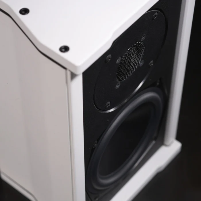 Leon Tr55AL-MT Terra Boundary Outdoor Speakers (Each) - Image 6