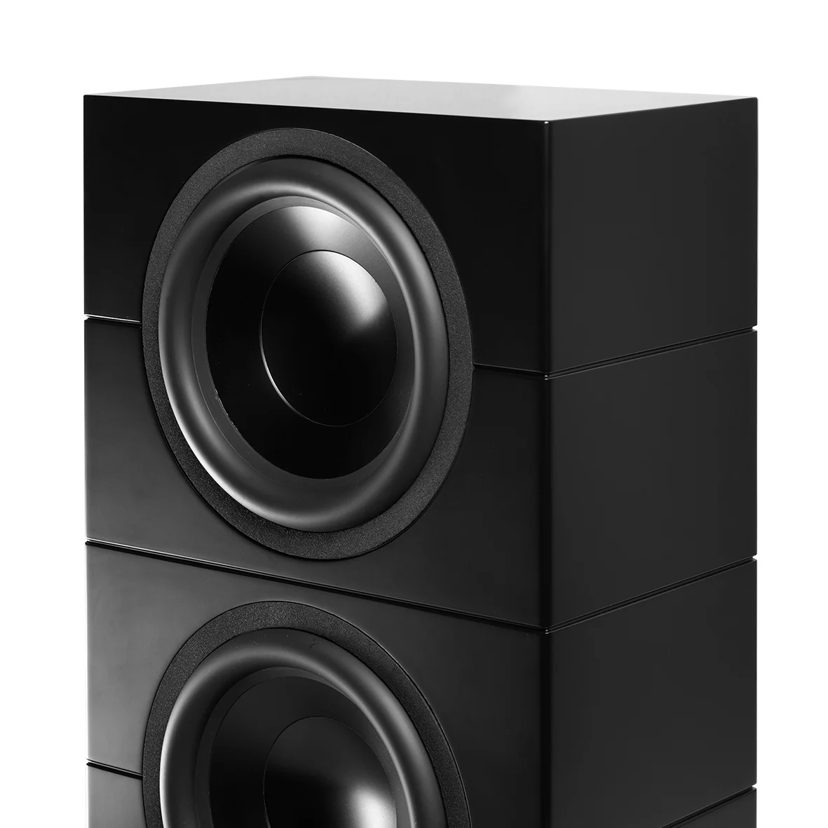 Lyngdorf BW-20 Passive Dual 12 Inch Boundary Woofer (Each) - Image 4