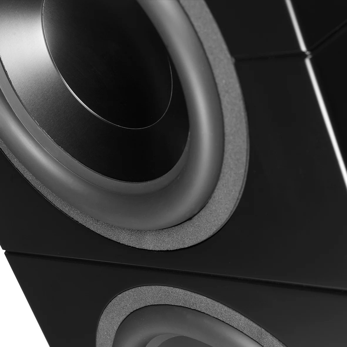 Lyngdorf BW-20 Passive Dual 12 Inch Boundary Woofer (Each) - Image 5