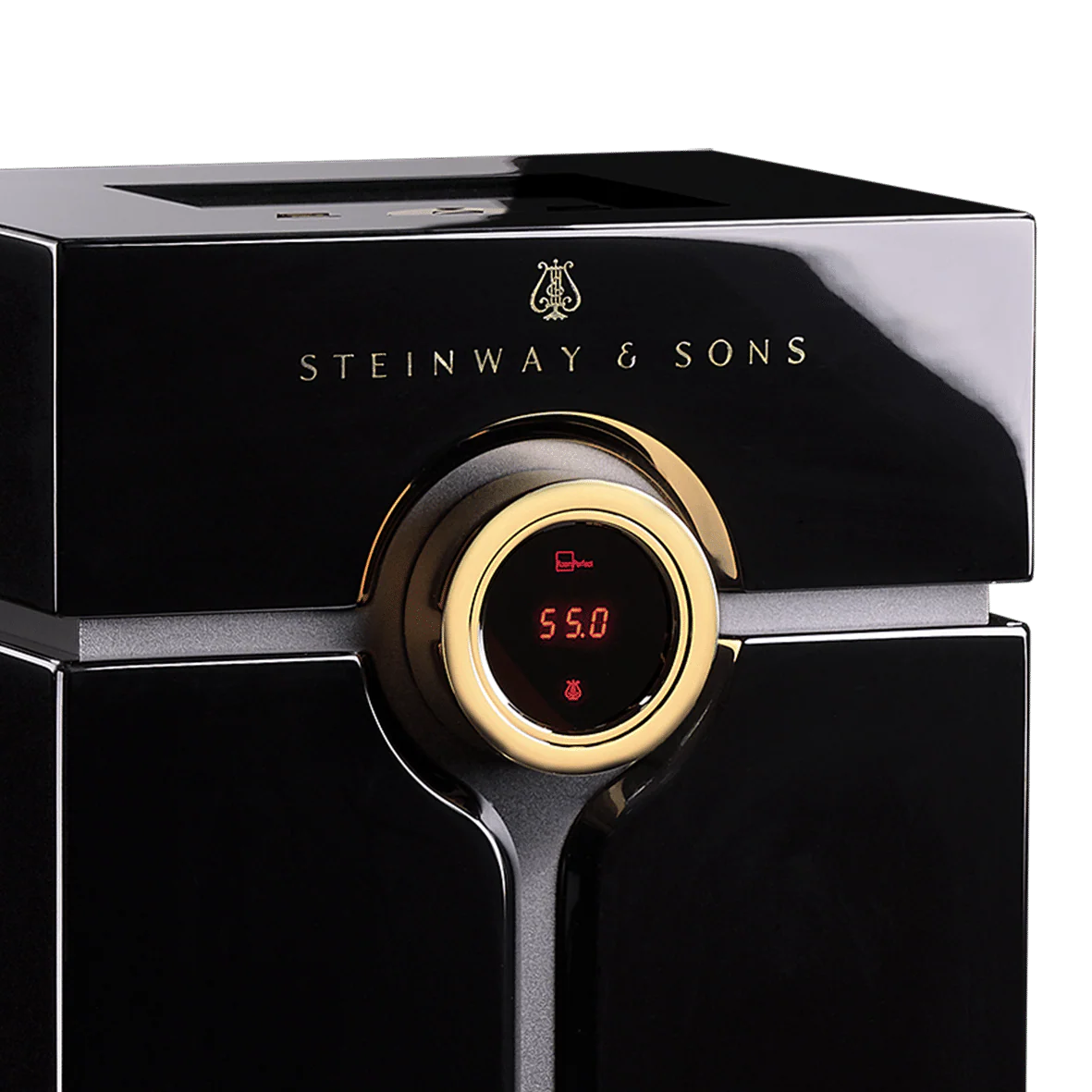 Steinway Lyngdorf Head Unit Processor - Image 6