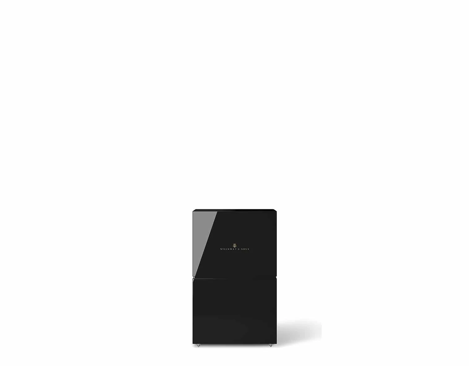 Steinway Lyngdorf Model S-15 Wall-Mounted Speaker Speaker - Image 7